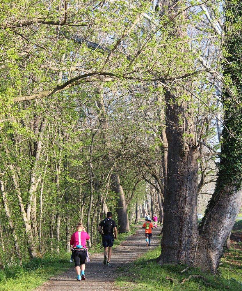 FB_IMG_1525714266174