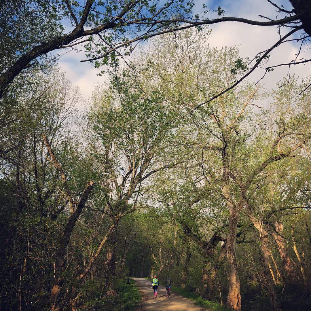 FB_IMG_1525714852427