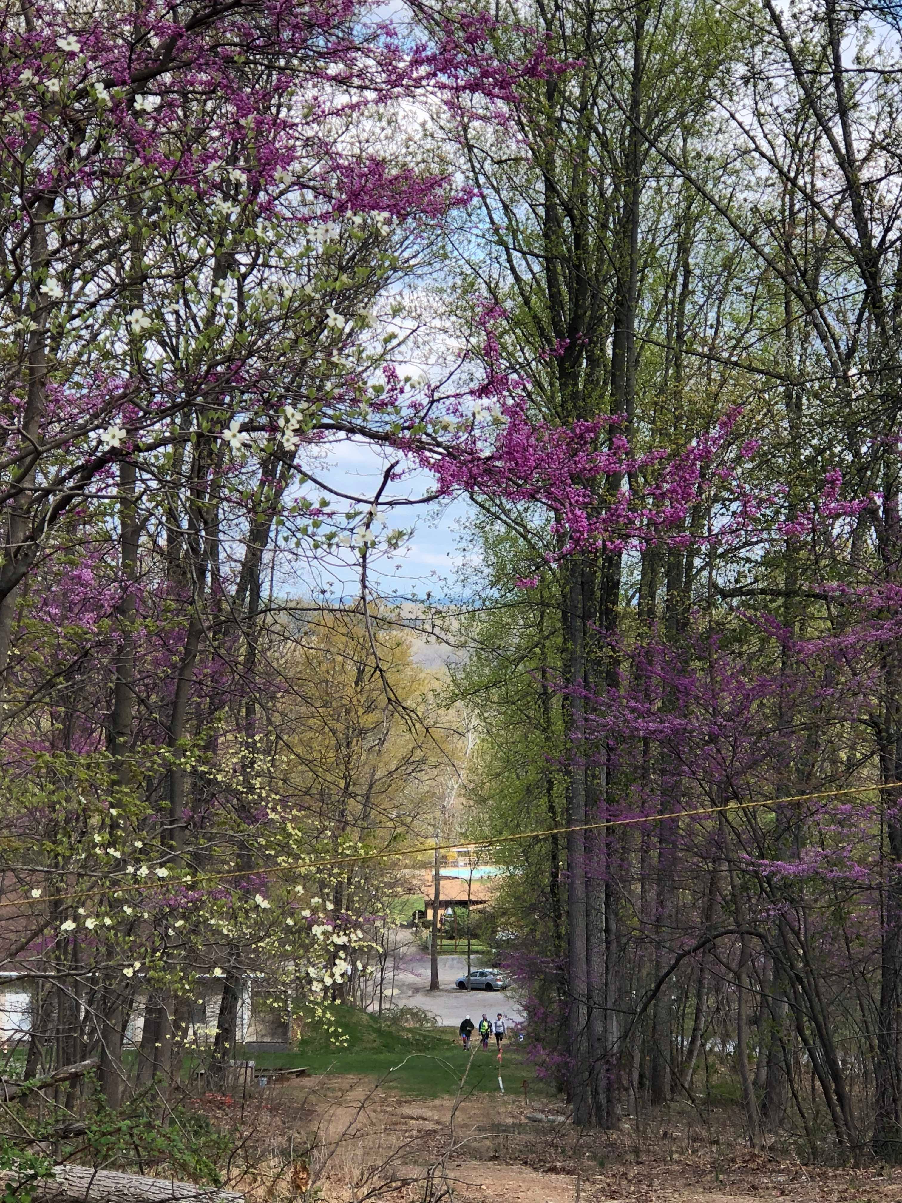 received_10100187561029868