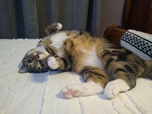 Dealing with crap in life